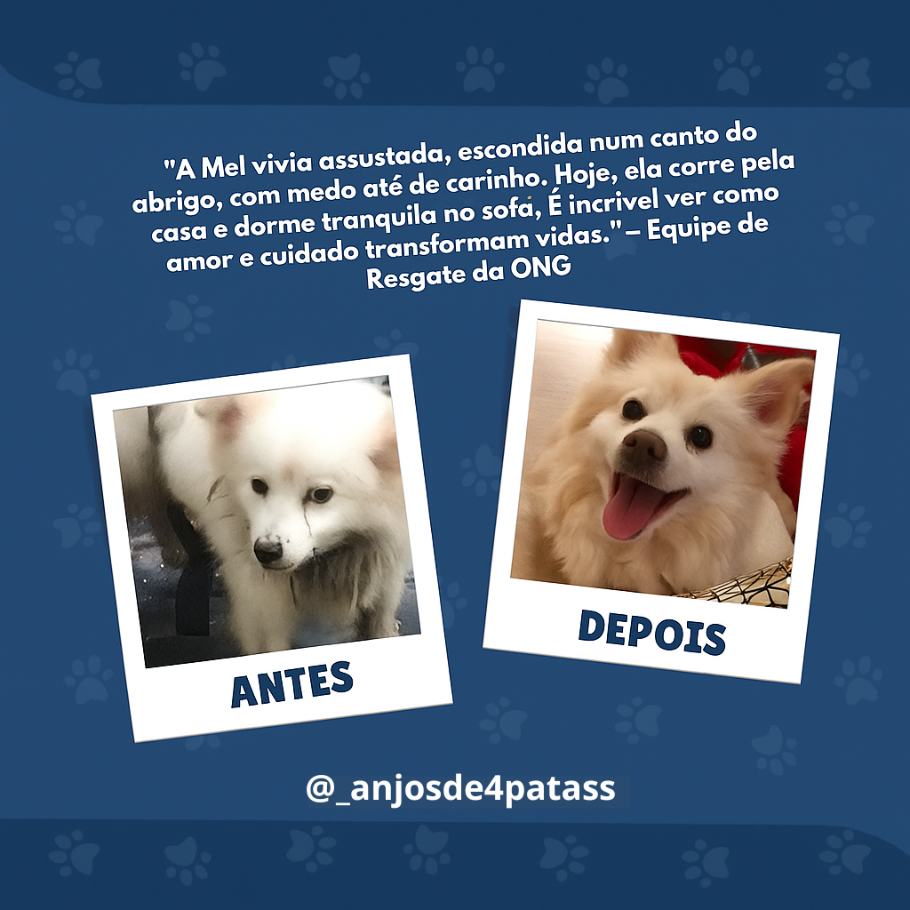 Anjos de 4 Patas